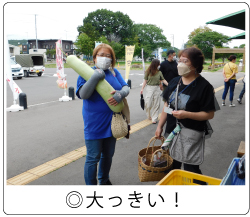 ご近所野菜市